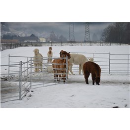 Steckhorden und Panele