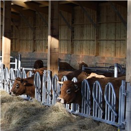 Stall- & Weidetechnik
