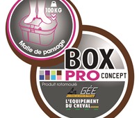 Box PRO XL:   Diese Kisten aus rotationsgeformten Polyethylen sind ideal um Ordnung in Ihr