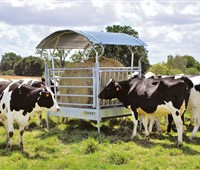 Futterraufe mit Fallgitter:   Futterraufe mit Dach und Boden  Fallgitterraufe zur Heufütterung für Rinder